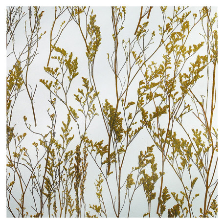 Панель из стекла Polus-AM